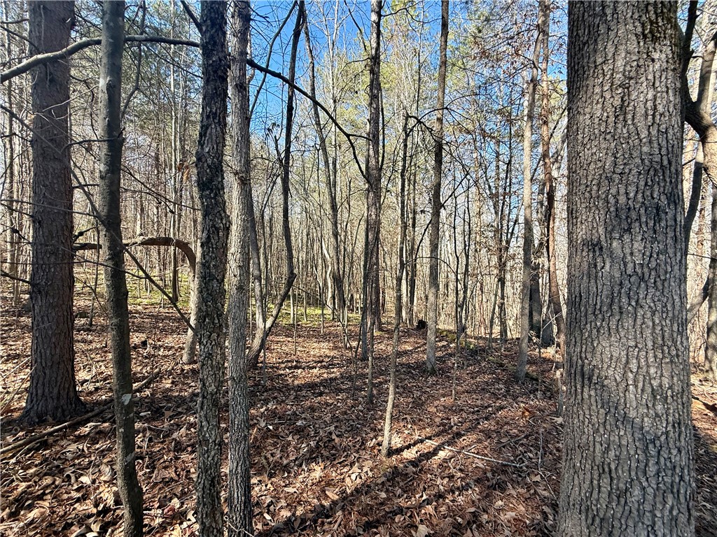 0 Friendship Loop Drive Seneca, SC 29678 - Photo 19 of 25 This tranquil wooded lot offers a private setting, ideal for a peaceful retreat.