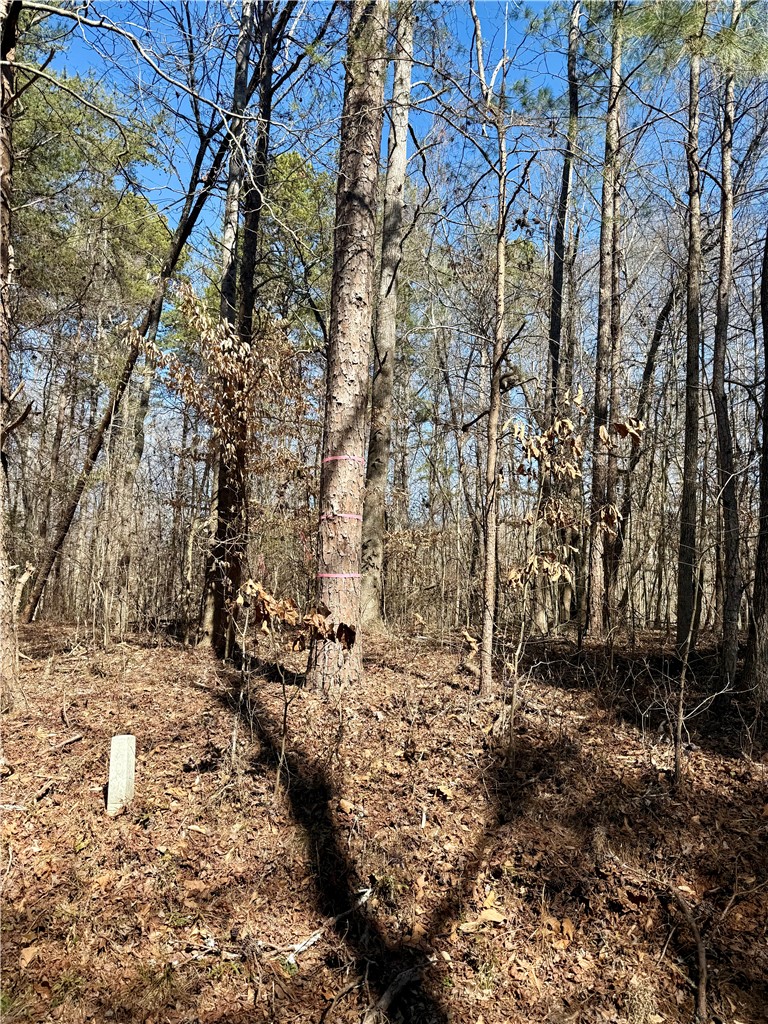 0 Friendship Loop Drive Seneca, SC 29678 - Photo 20 of 25 This peaceful, wooded lot offers a tranquil retreat for your future home.