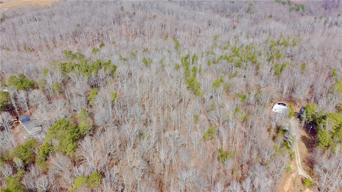 0 Friendship Loop Drive Seneca, SC 29678 - Photo 21 of 25 This expansive, wooded lot provides privacy and natural beauty, ideal for your next home.