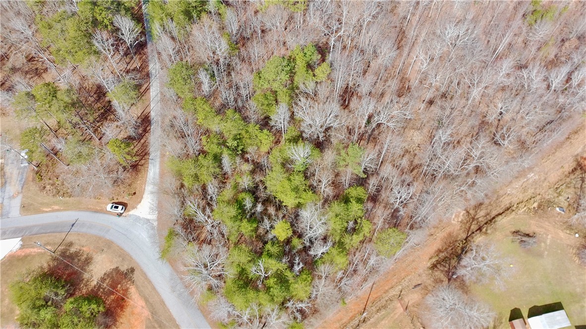0 Friendship Loop Drive Seneca, SC 29678 - Photo 22 of 25 Vast natural expanse provides an ideal setting for a serene and private living experience.