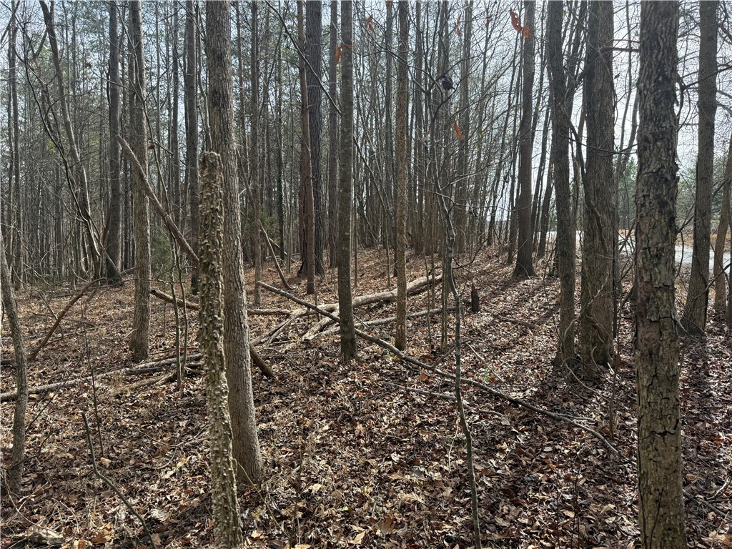0 Friendship Loop Drive Seneca, SC 29678 - Photo 4 of 25 Mature trees and natural beauty define this peaceful, expansive woodland setting.