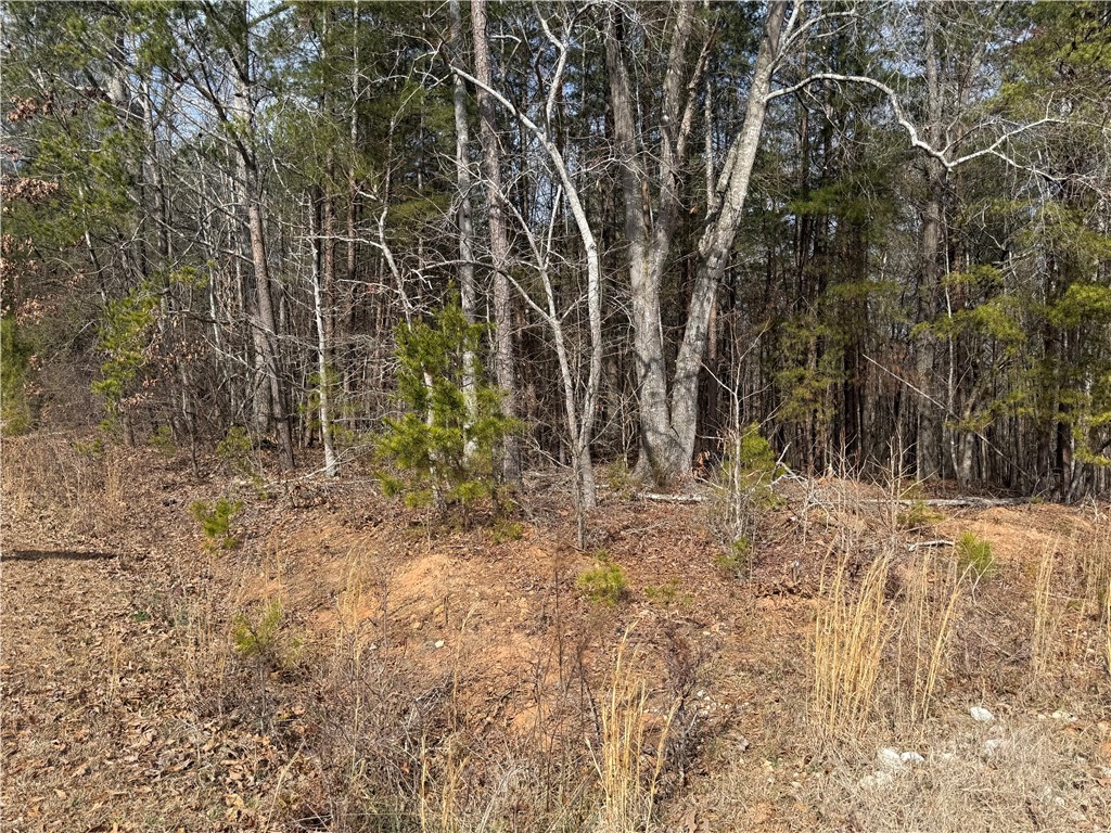 0 Friendship Loop Drive Seneca, SC 29678 - Photo 5 of 25 Mature trees and natural growth define this spacious, undeveloped parcel.