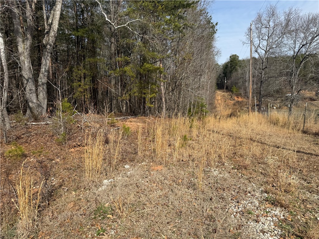 0 Friendship Loop Drive Seneca, SC 29678 - Photo 6 of 25 A tranquil landscape offers a harmonious blend of nature and potential.