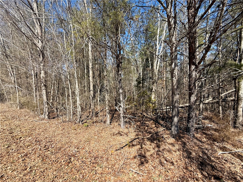 0 Friendship Loop Drive Seneca, SC 29678 - Photo 9 of 25 A tranquil wooded lot offers a private natural setting.