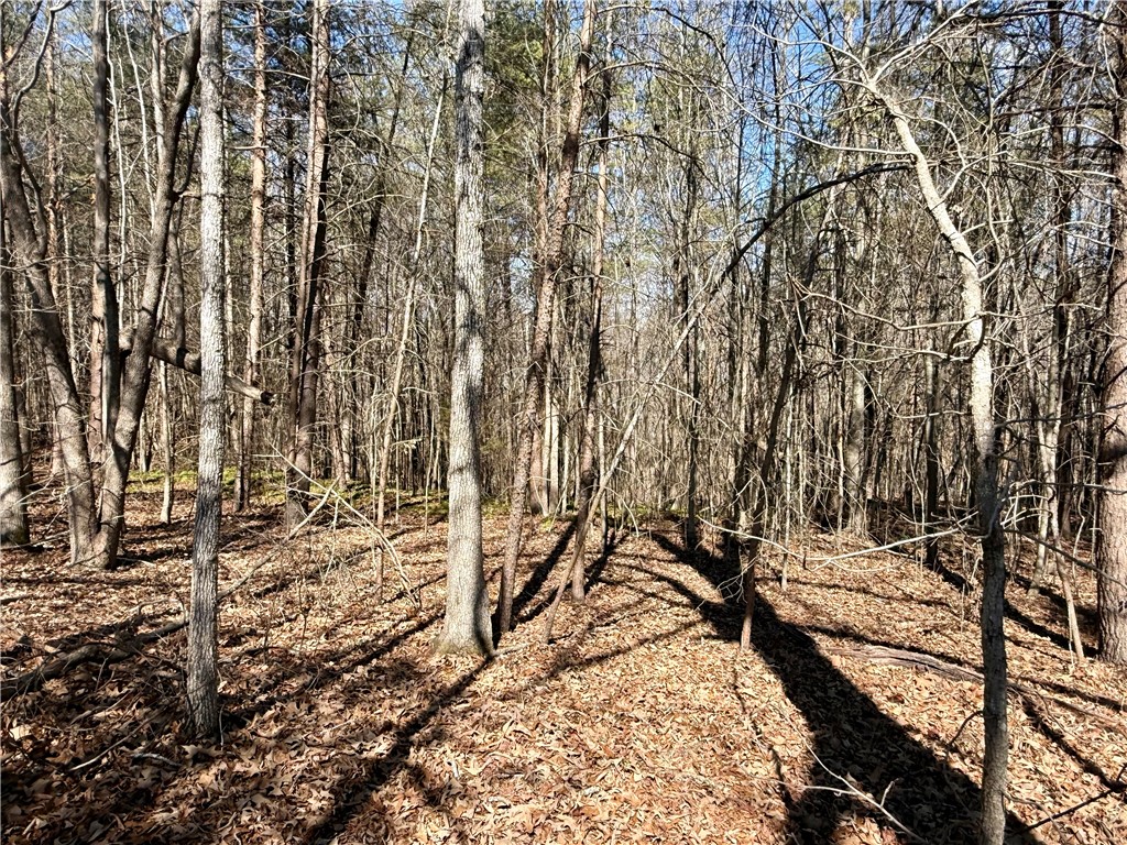 0 Friendship Loop Drive Seneca, SC 29678 - Photo 10 of 25 This tranquil wooded lot offers a peaceful retreat for your ideal home.