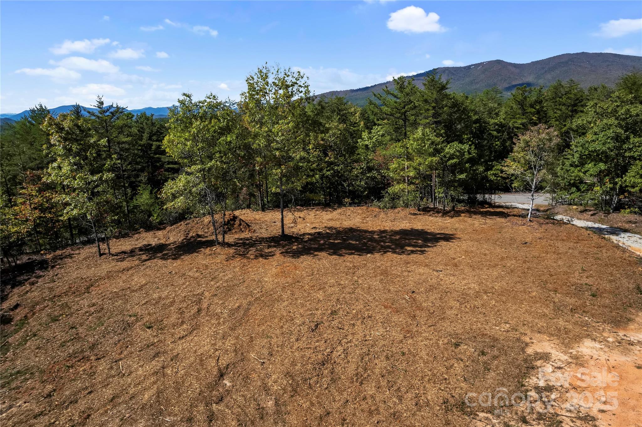 9028 Shortoff View Terrace Nebo, NC 28761 - Photo 2 of 7