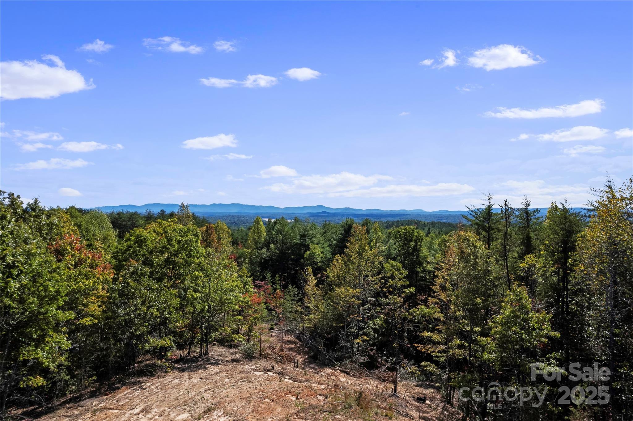 9028 Shortoff View Terrace Nebo, NC 28761 - Photo 3 of 7