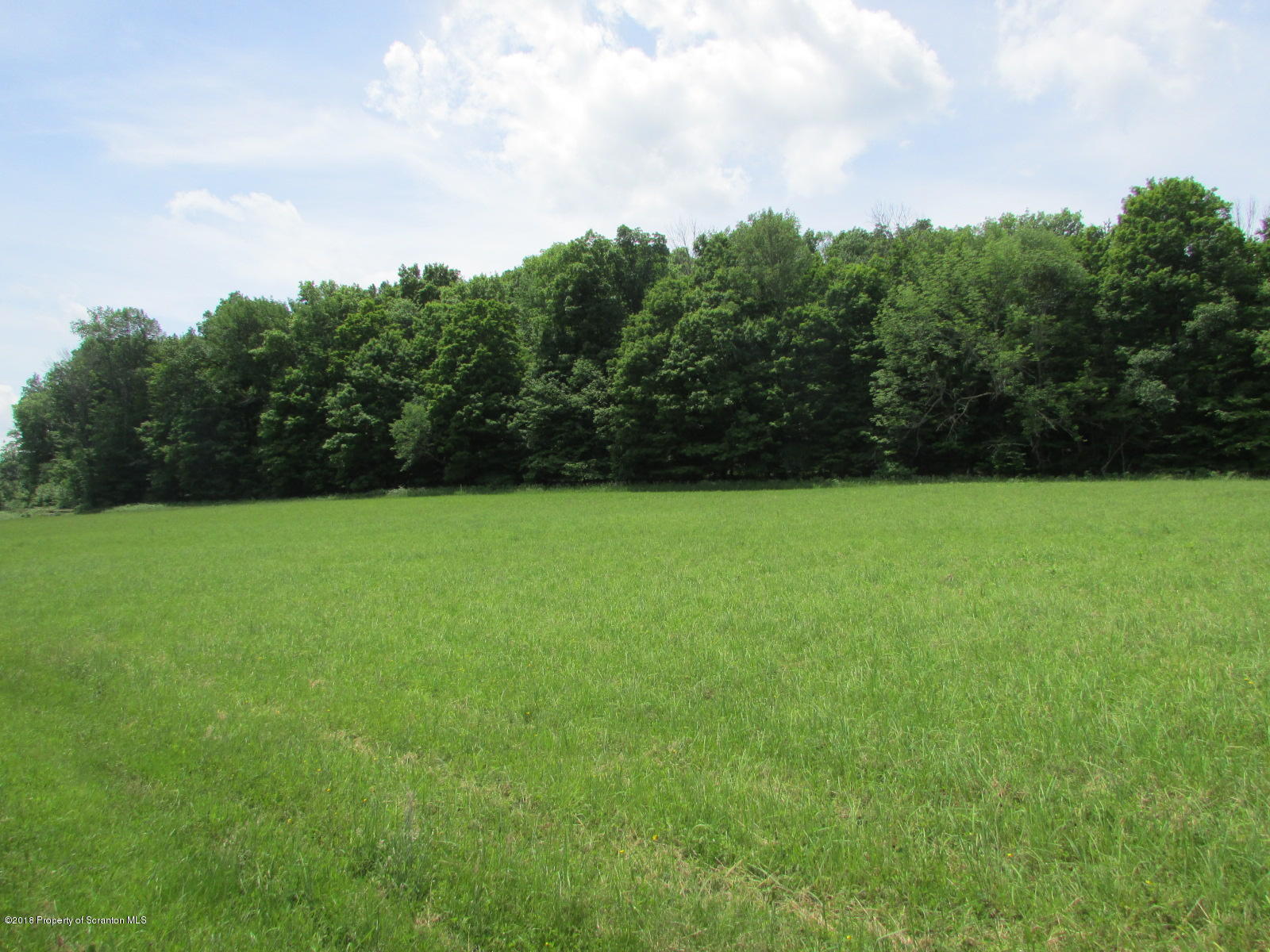11068 State Rte 3023 Montrose, PA 18801 - Photo 34 of 38 a view of a green field with plants in the background
