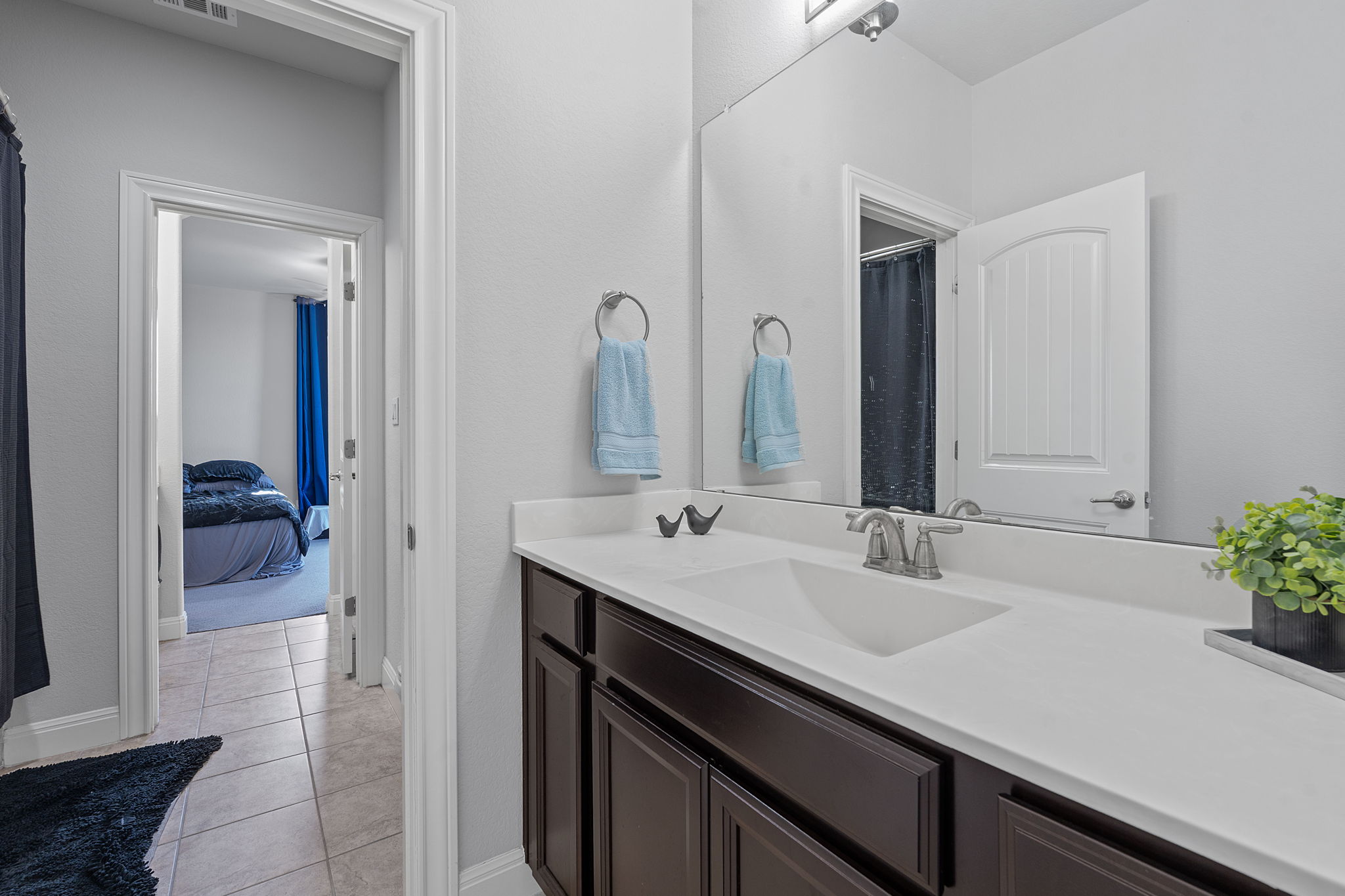 4212 Borho Ranch Street Leander, TX 78641 - Photo 21 of 29 a bathroom with a sink double vanity and a mirror