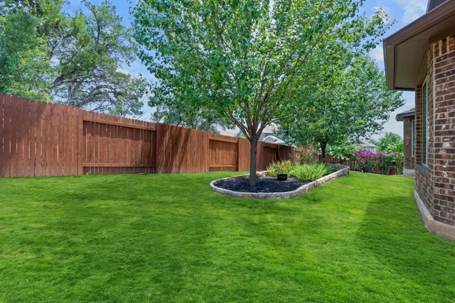 a view of a garden with large trees