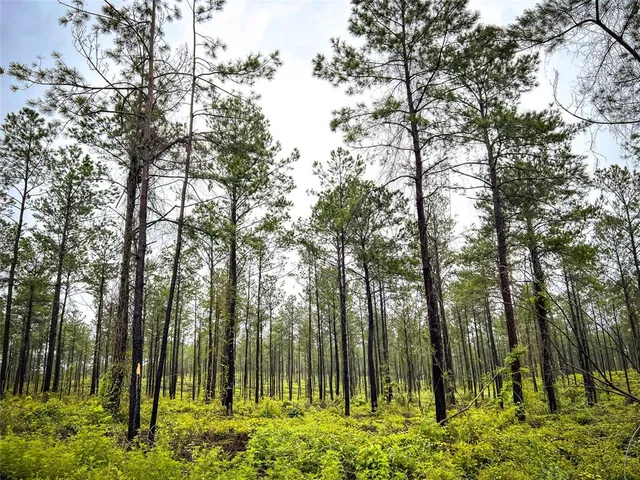 a view of outdoor space and green space