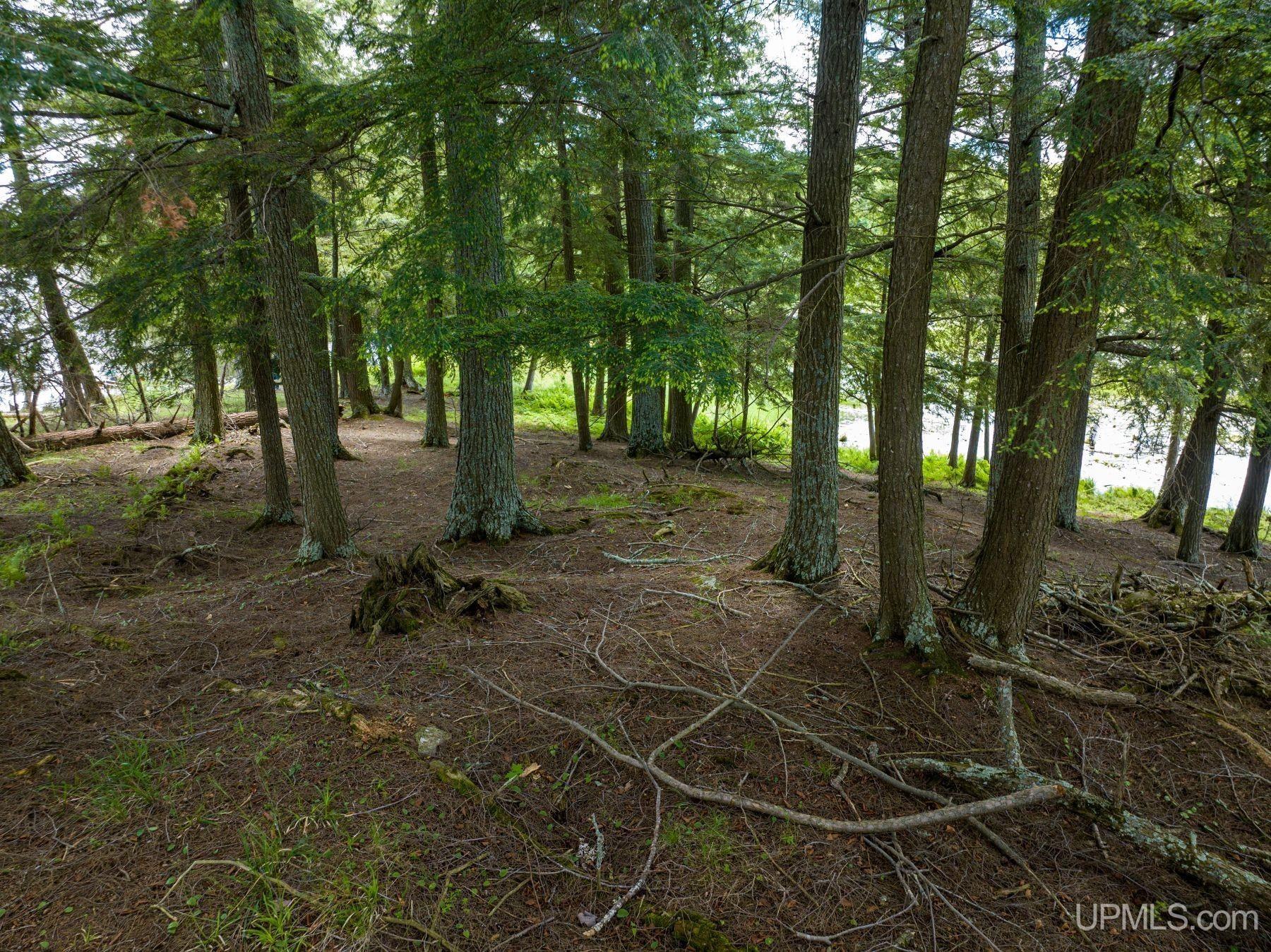 Off Off Boy Scout Island Road Watersmeet, MI 49969 - Photo 5 of 9