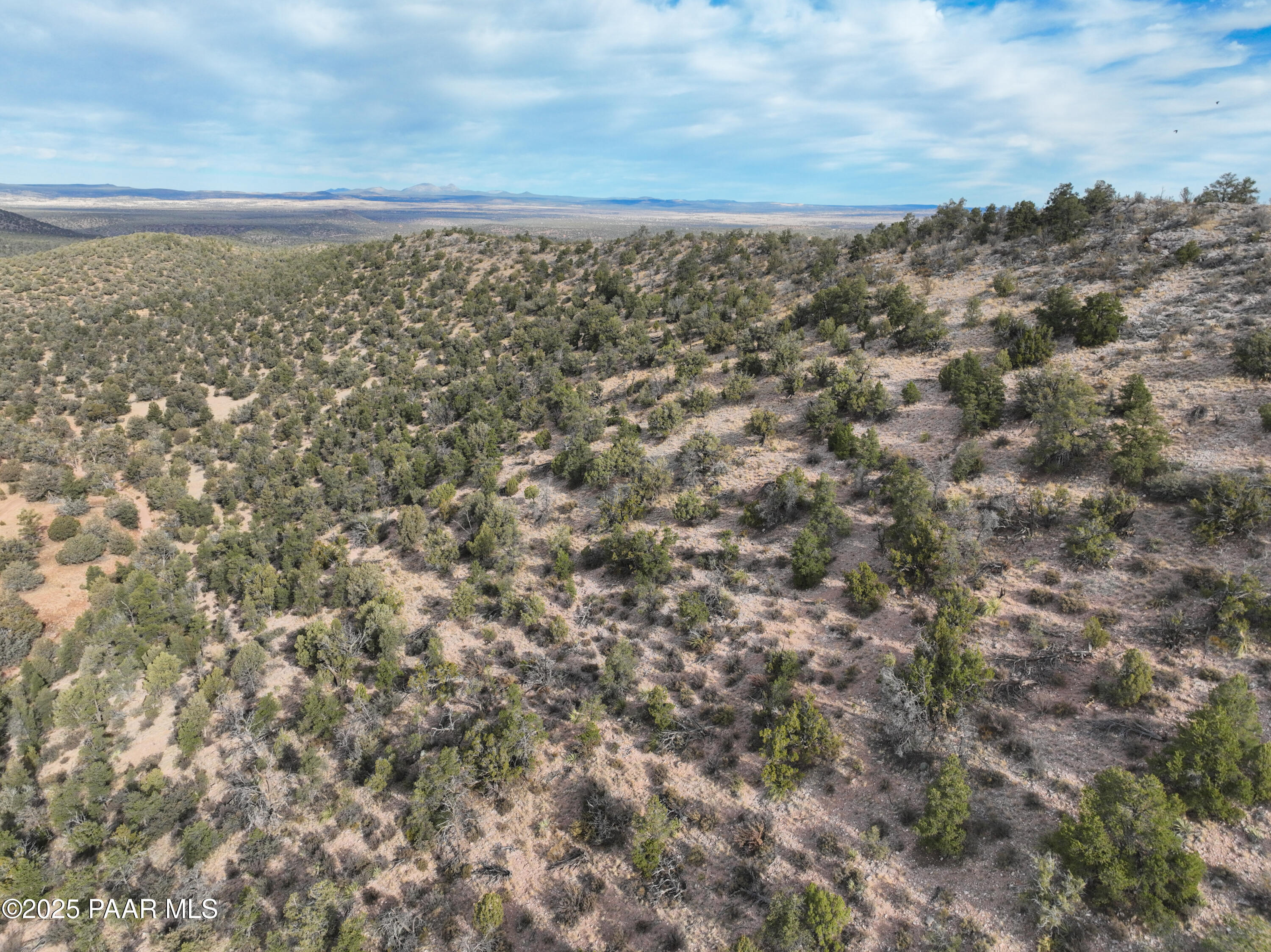0 Arizona Ash Fork, AZ 86320 - Photo 19 of 47 a view of a yard of a building