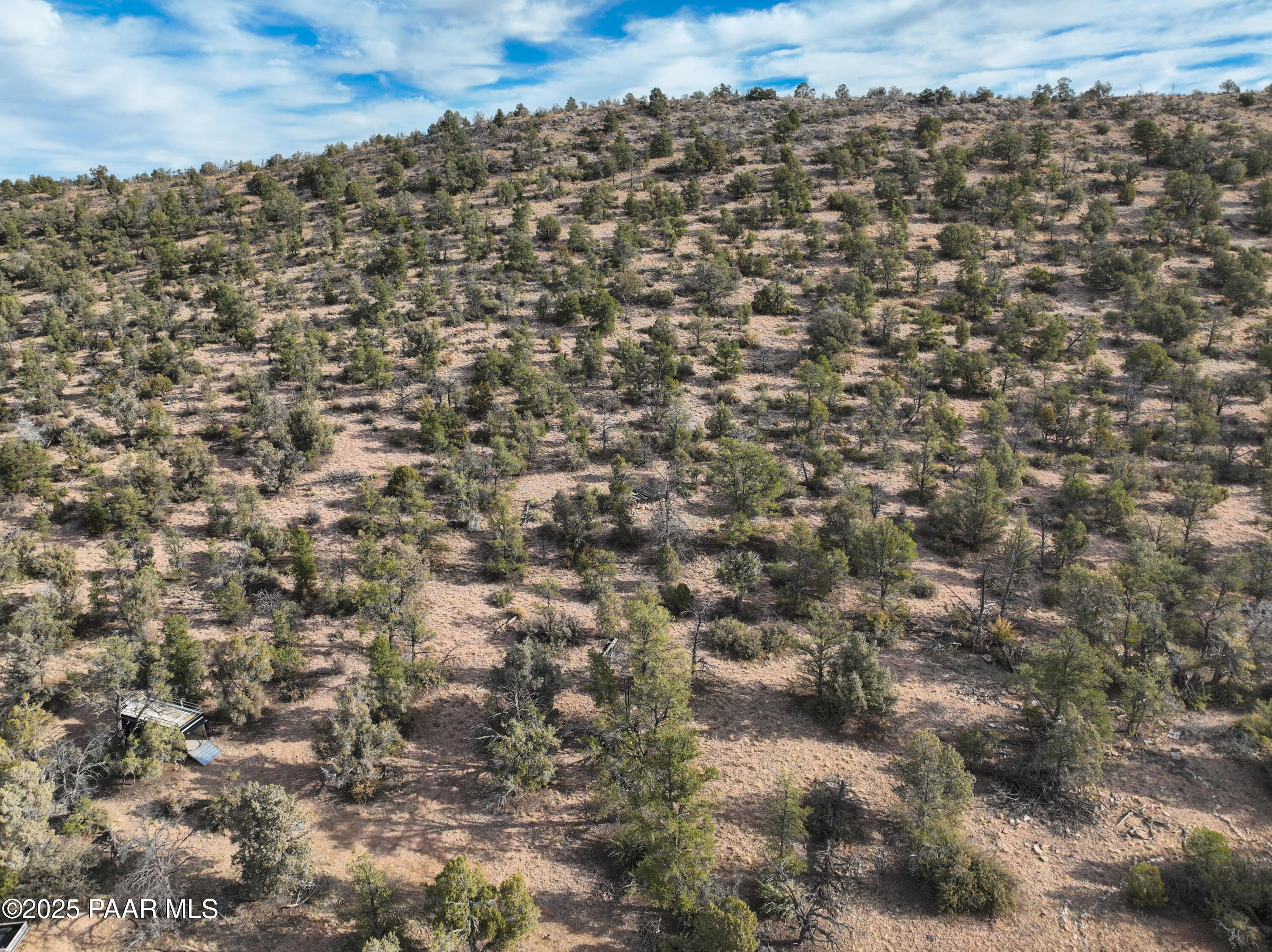 0 Arizona Ash Fork, AZ 86320 - Photo 23 of 47 a view of a yard
