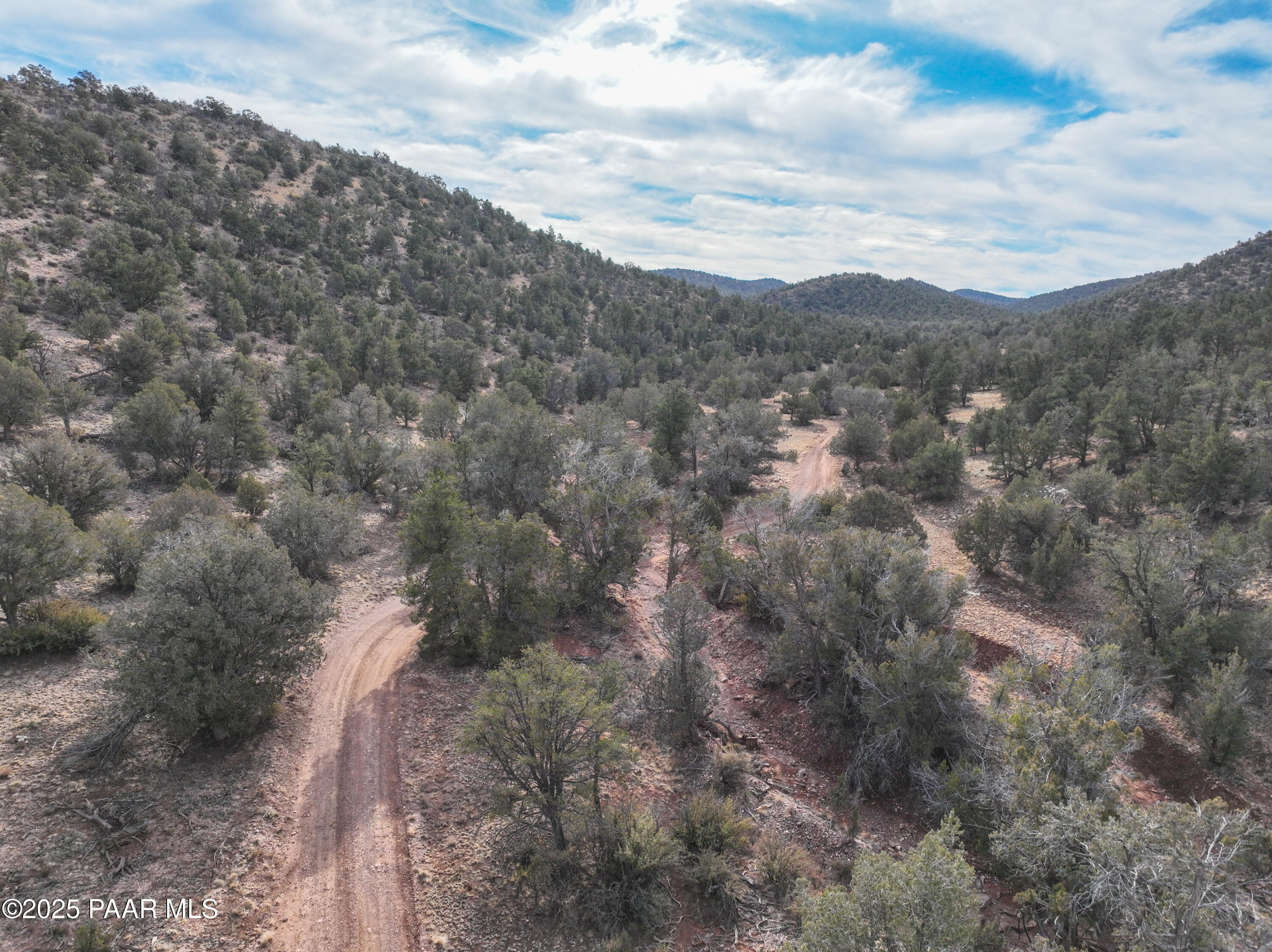 0 Arizona Ash Fork, AZ 86320 - Photo 26 of 47 a view of a dry yard