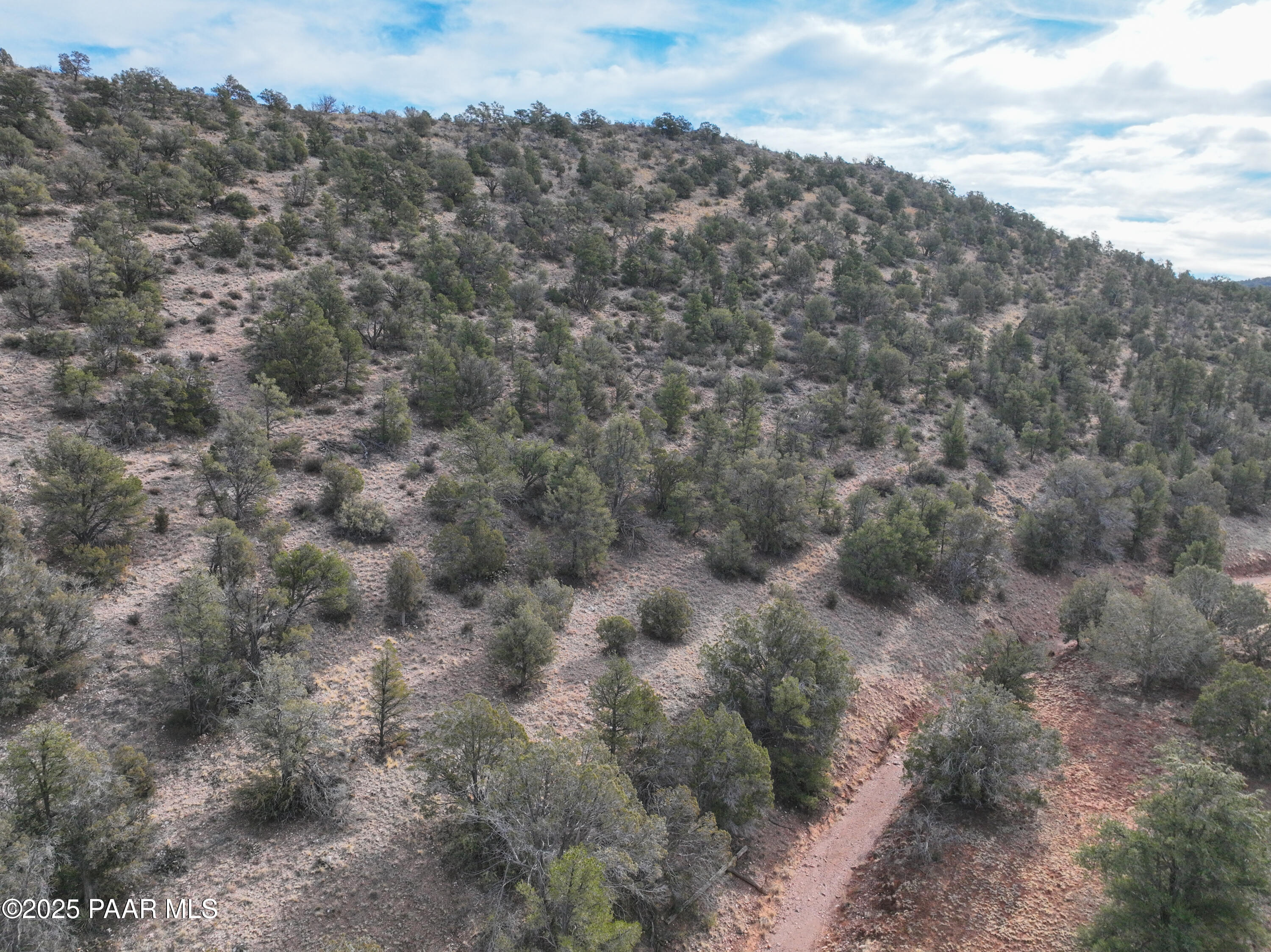 0 Arizona Ash Fork, AZ 86320 - Photo 28 of 47 a view of a dry yard