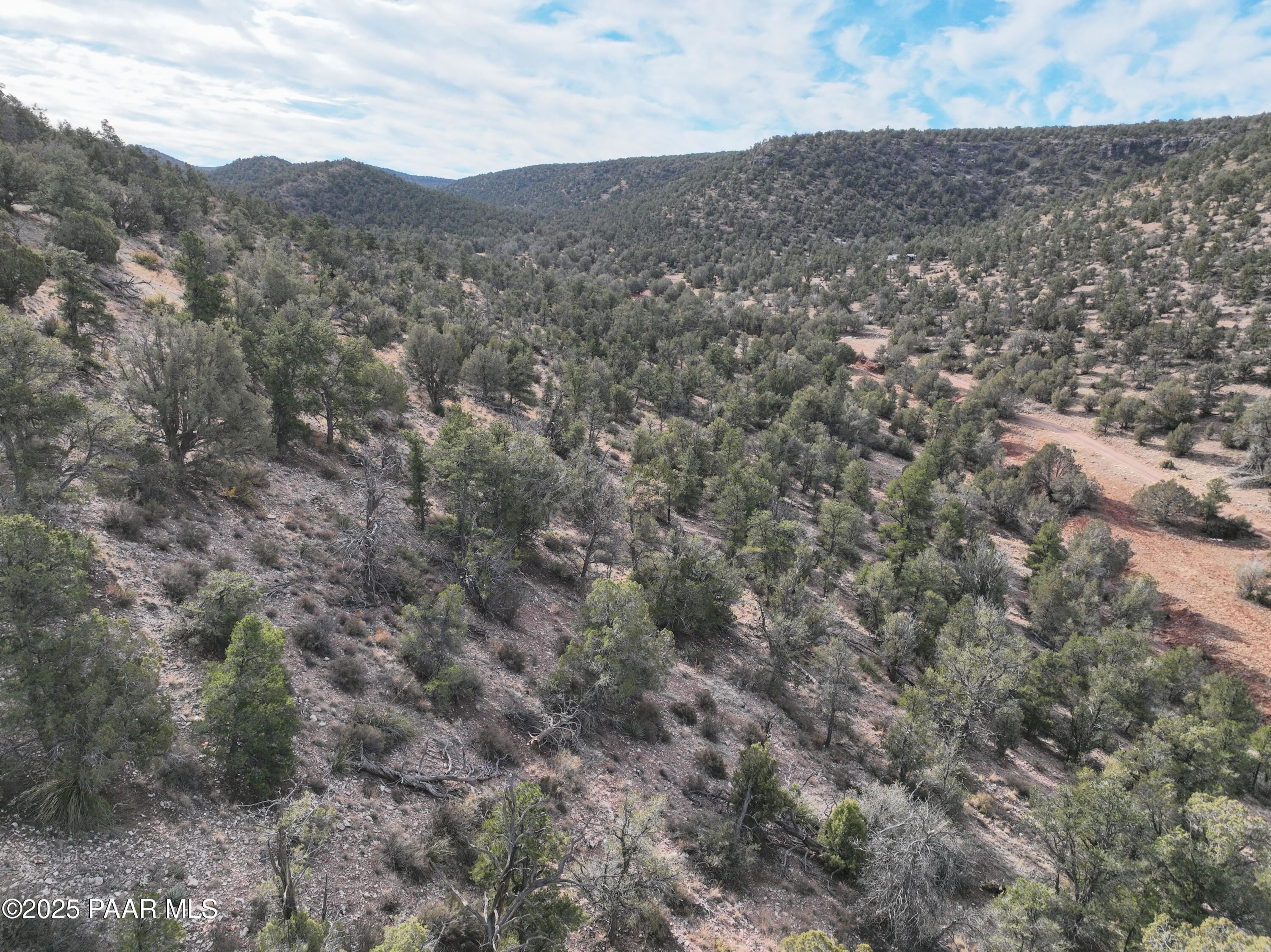0 Arizona Ash Fork, AZ 86320 - Photo 32 of 47 a view of a mountain in the distance in a field