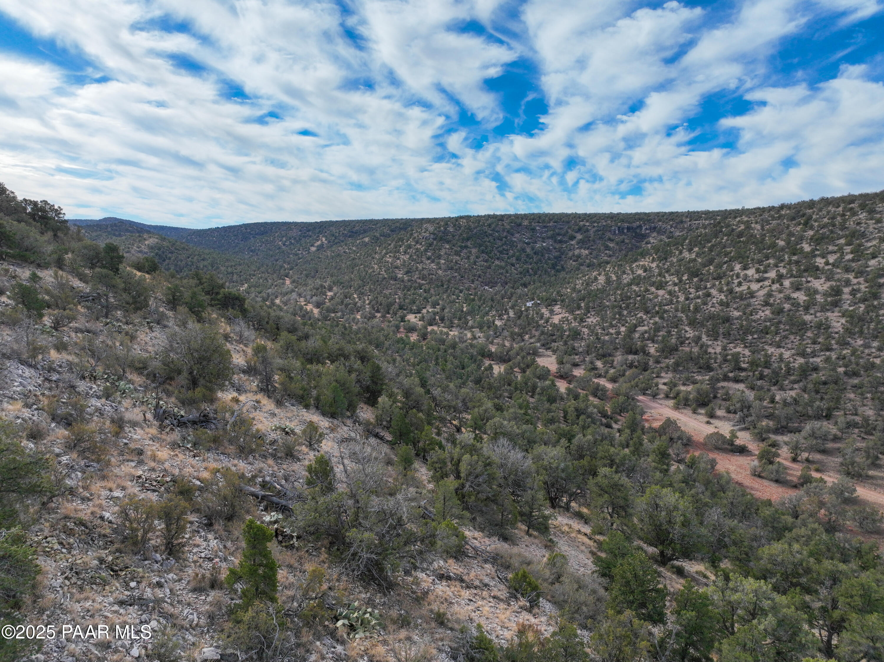 0 Arizona Ash Fork, AZ 86320 - Photo 38 of 47 a view of a dry yard