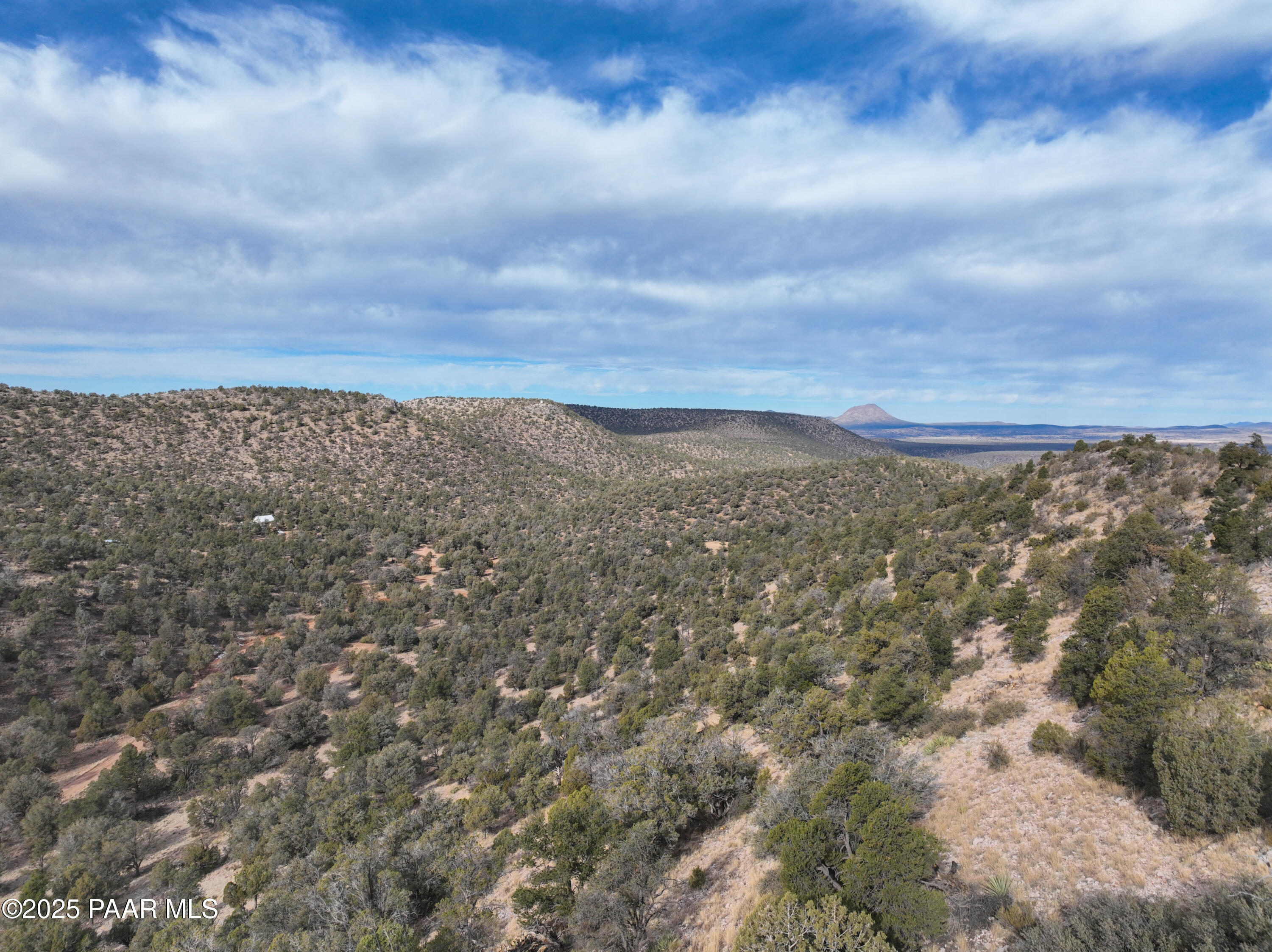 0 Arizona Ash Fork, AZ 86320 - Photo 44 of 47 a view of a big yard with lots of bushes