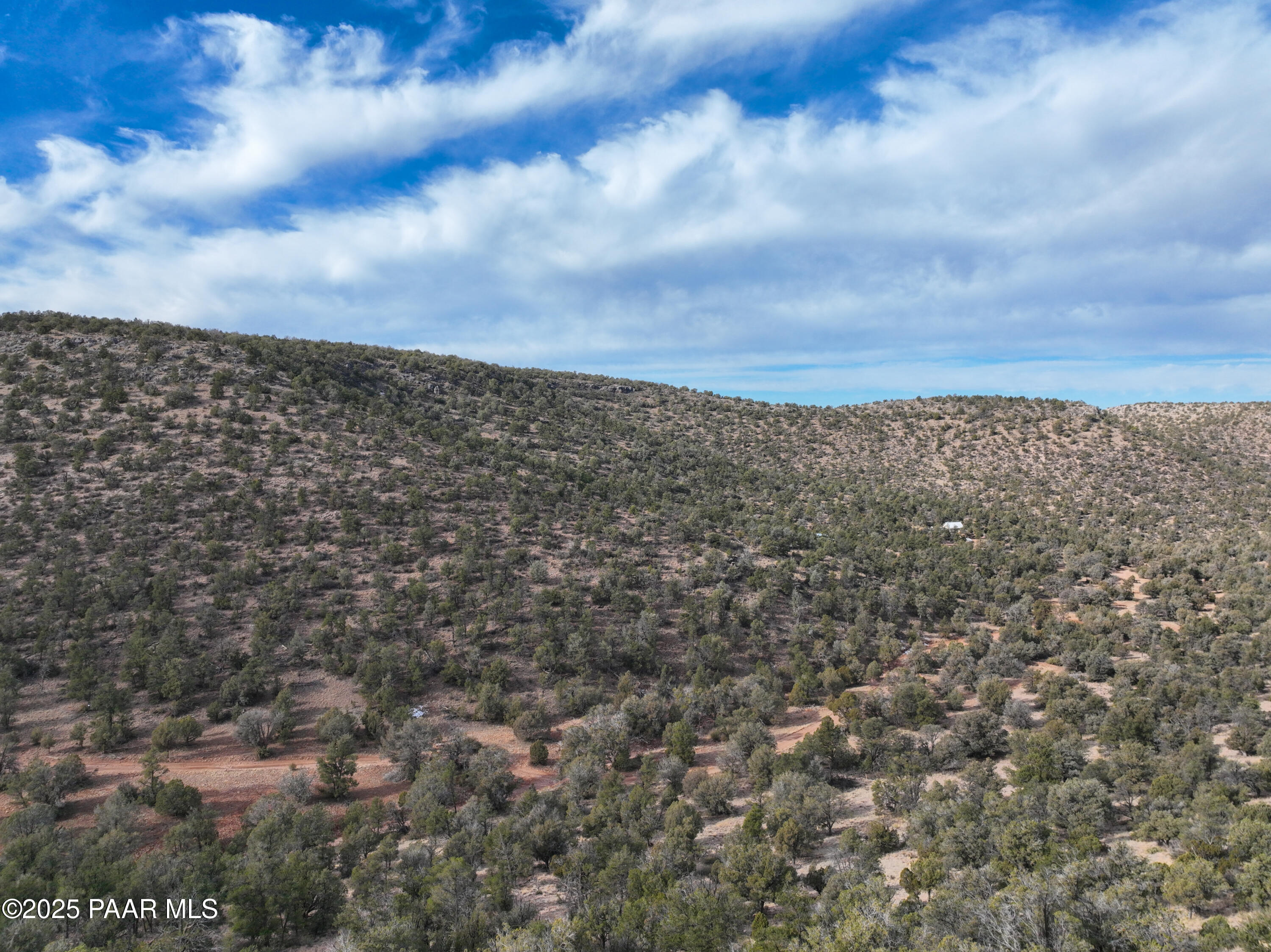 0 Arizona Ash Fork, AZ 86320 - Photo 45 of 47 a view of a yard