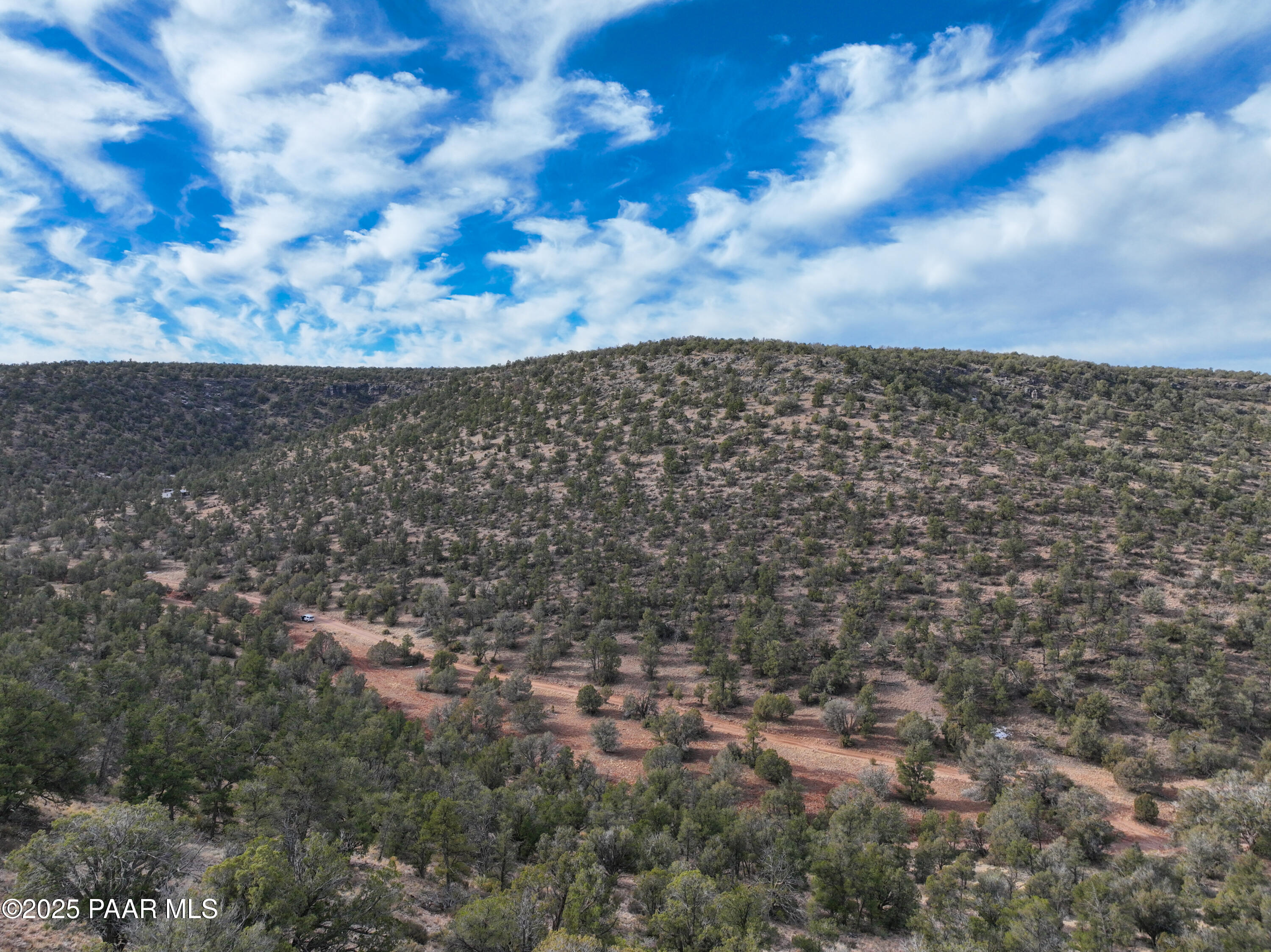0 Arizona Ash Fork, AZ 86320 - Photo 46 of 47 a view of a bunch of trees