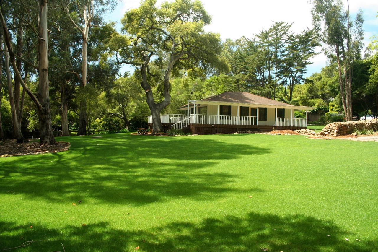 a front view of a building with a yard