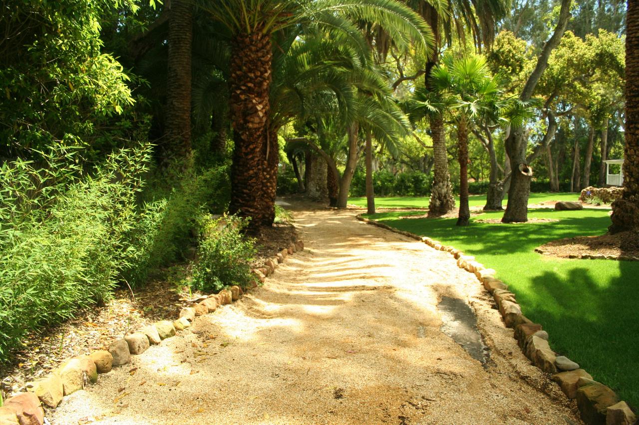 744 Ashley Road Santa Barbara, CA 93108 - Photo 3 of 9 a view of a yard with a tree