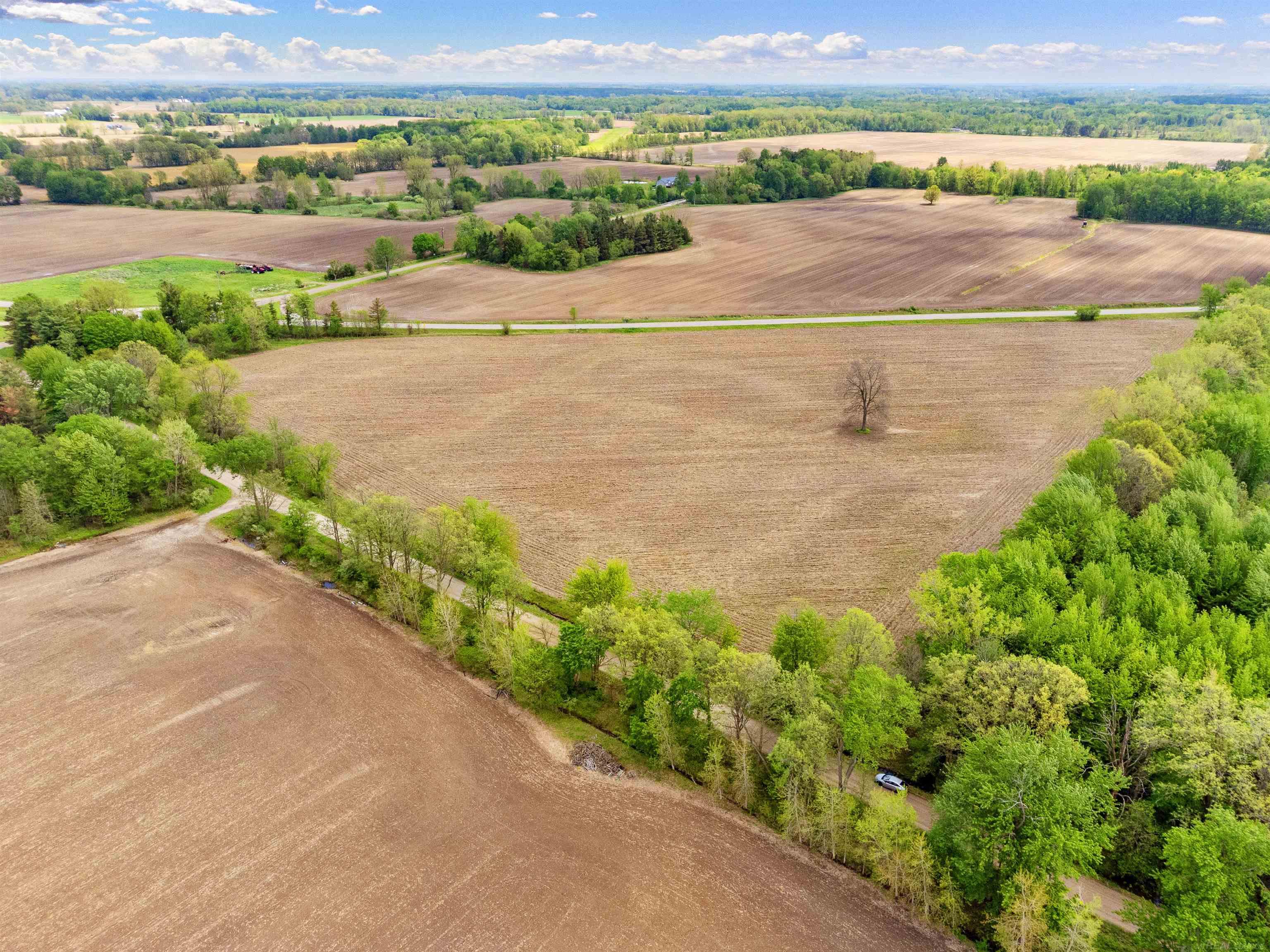 0 Fulton Road Yale, MI 48097 - Photo 1 of 10