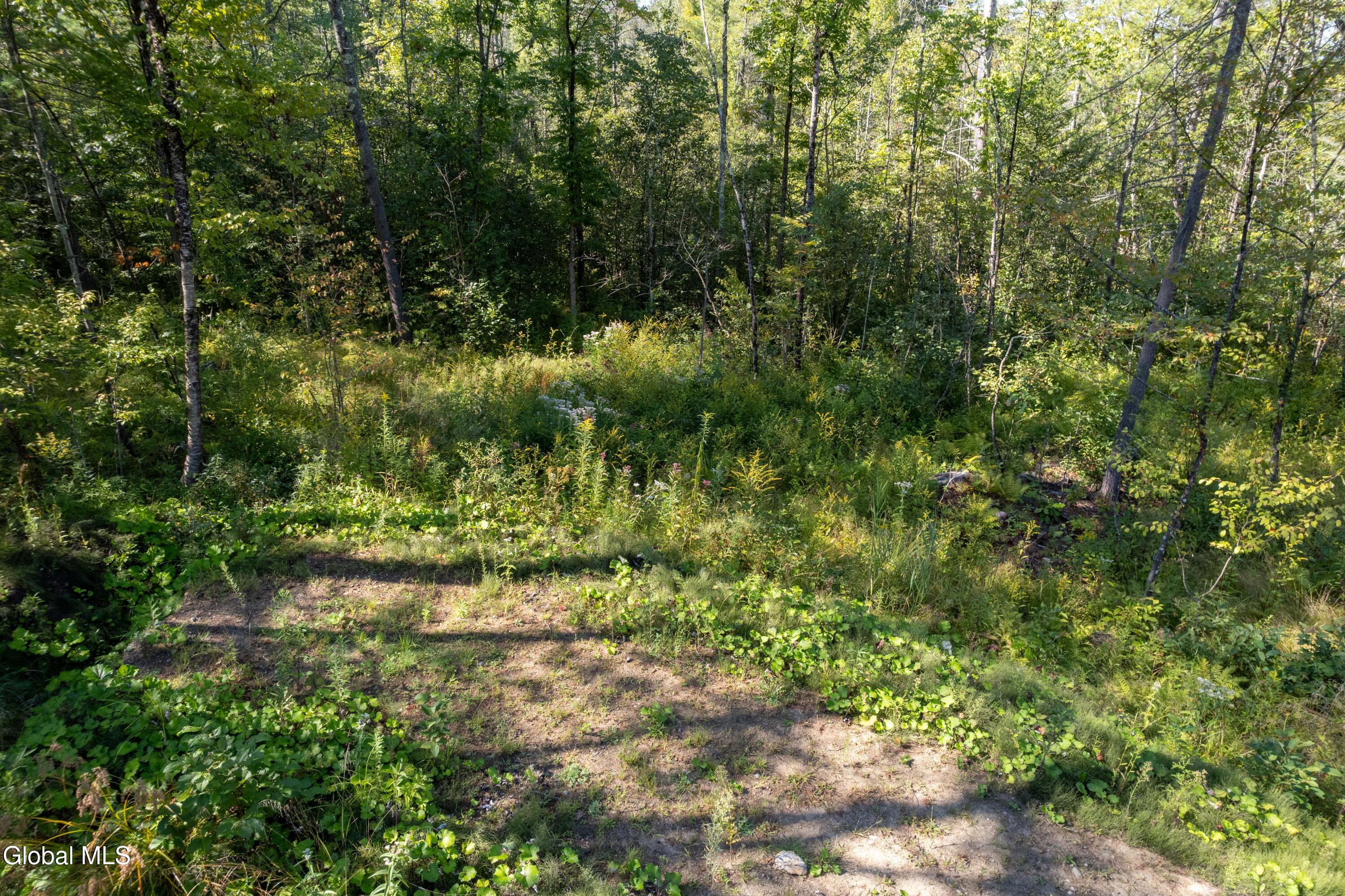 450 Sacandaga Road Perth, NY 12095 - Photo 50 of 59 33-450 Sacandaga Brad