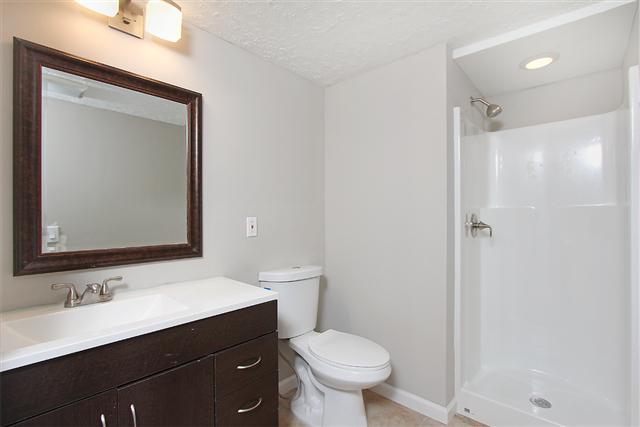 5590 Vanderbilt Road Old Hickory, TN 37138 - Photo 16 of 20 Full bath on lower level has been completely updated as well and features a stand up shower.