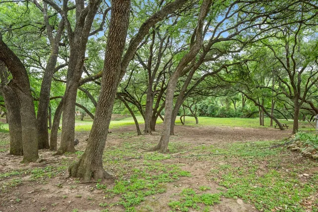 a view of a swimming pool with a yard