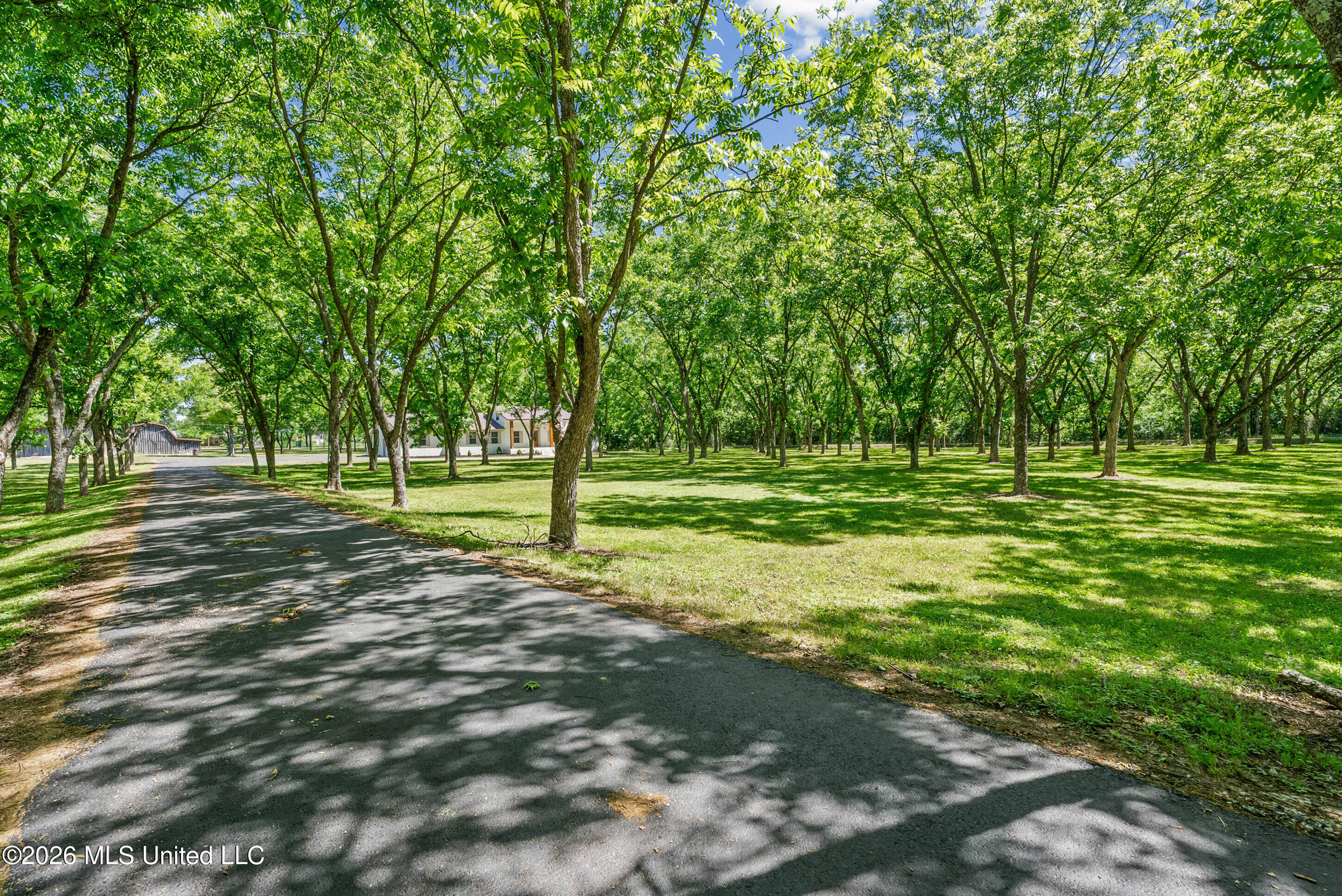 524 Merry Hill Ranch Road Senatobia, MS 38668 - Photo 43 of 55 43_dsc07685_print