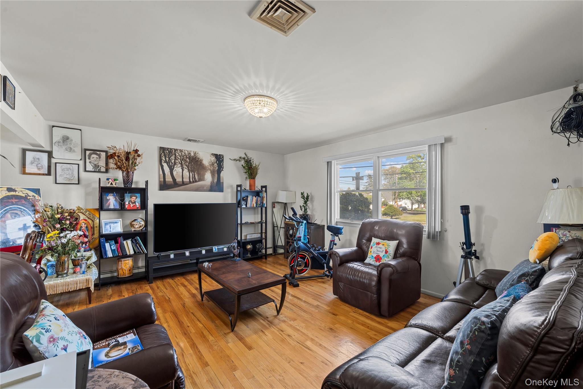 372 Madison Street Franklin Square, NY 11010 - Photo 6 of 26
