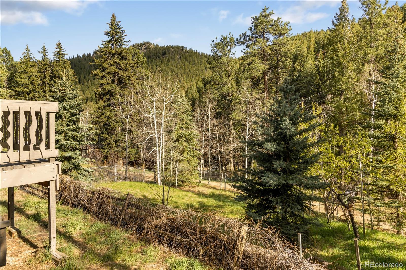 1264 Beaver Brook Canyon Road Evergreen, CO 80439 - Photo 11 of 47