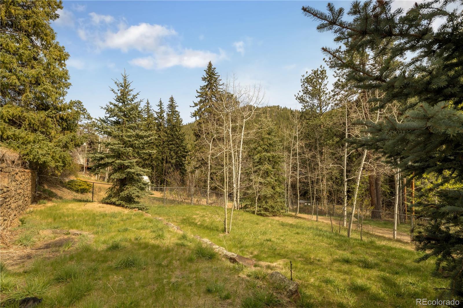 1264 Beaver Brook Canyon Road Evergreen, CO 80439 - Photo 12 of 47
