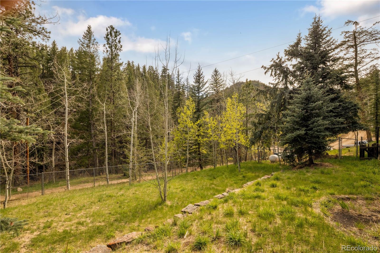 1264 Beaver Brook Canyon Road Evergreen, CO 80439 - Photo 13 of 47