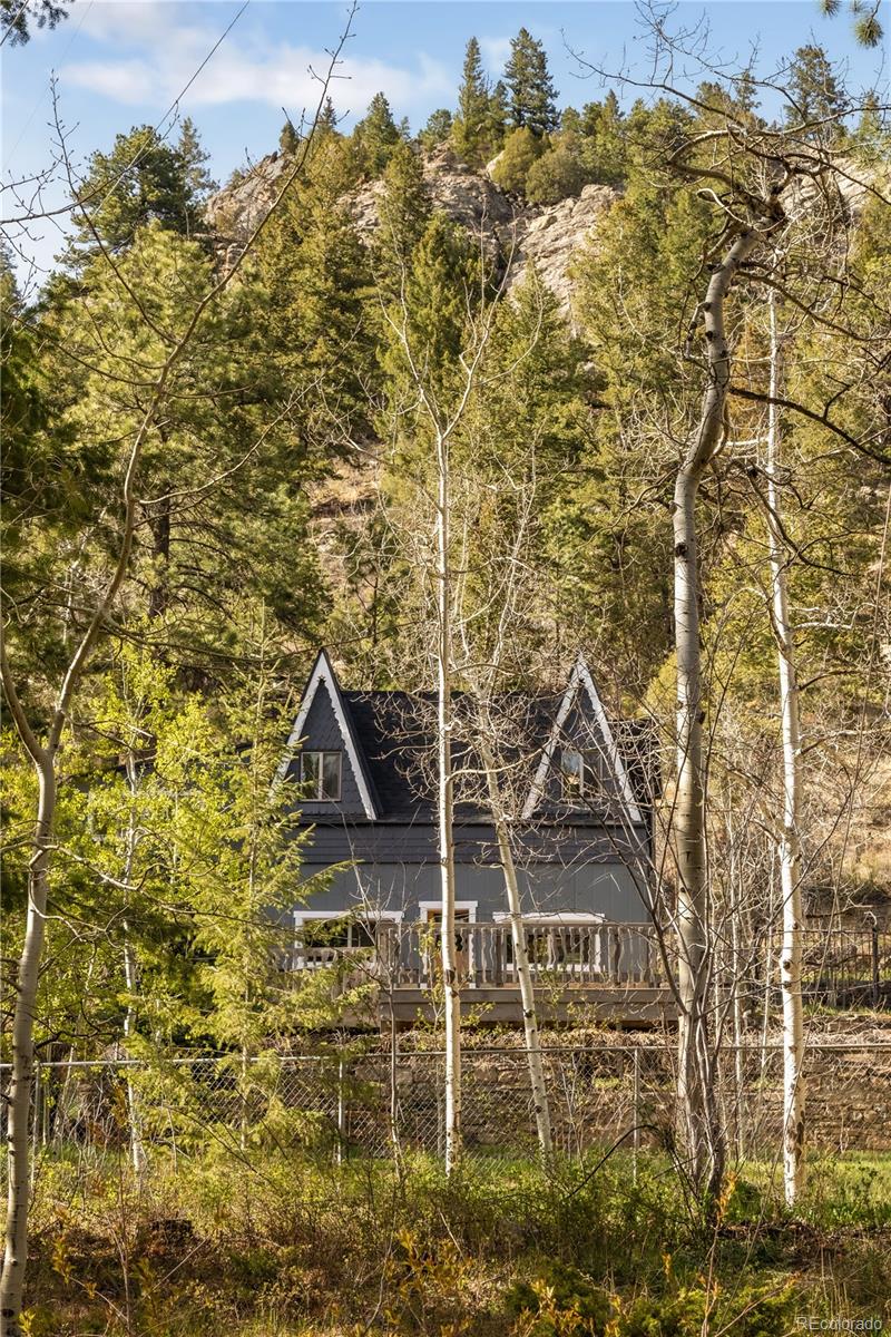 1264 Beaver Brook Canyon Road Evergreen, CO 80439 - Photo 4 of 47