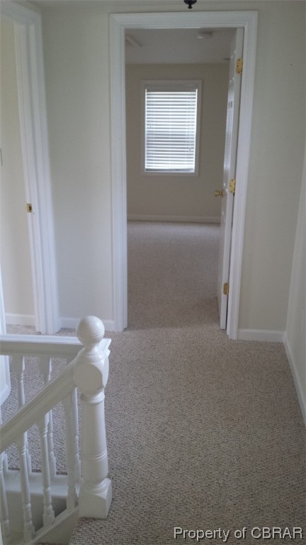 939 Possum Point Road Port Haywood, VA 23138 - Photo 21 of 22