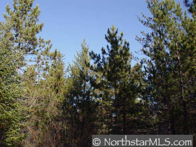 Lot 2 Peterson Road Hayward, WI 54843 - Photo 1 of 1 Gallery Image 1