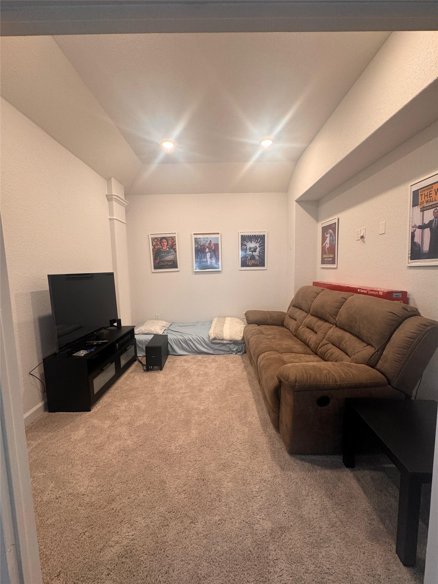 650 Wild Pecan Loop Buda, TX 78610 - Photo 21 of 28 Living room with light colored carpet and recessed lighting
