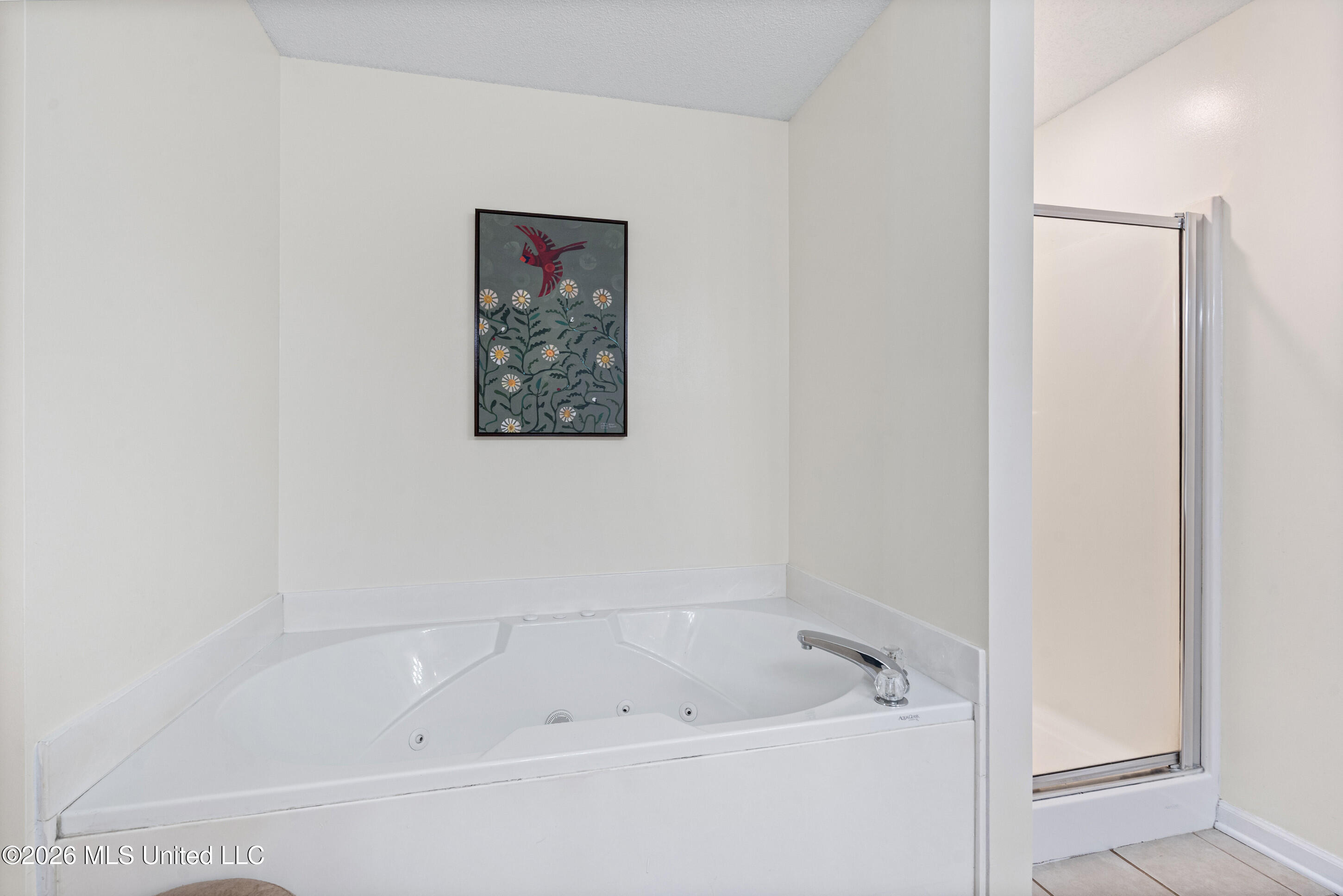 1384 Pendulum Drive Hernando, MS 38632 - Photo 9 of 20 _dsc9159_print