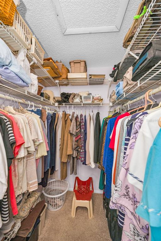 8202 Leafy Court Port Richey, FL 34668 - Photo 29 of 52