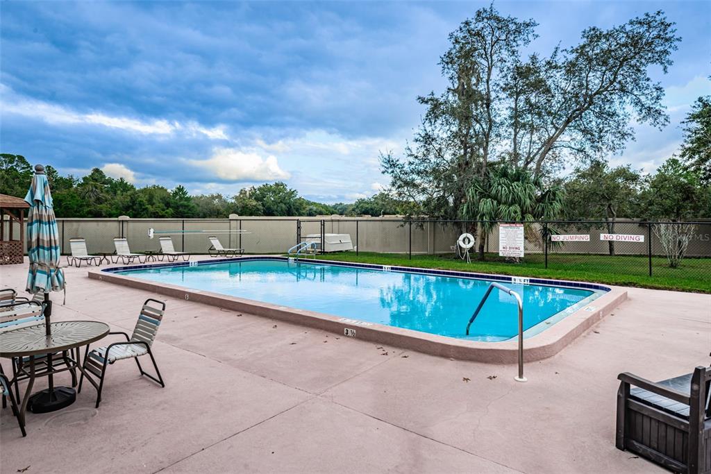 8202 Leafy Court Port Richey, FL 34668 - Photo 45 of 52