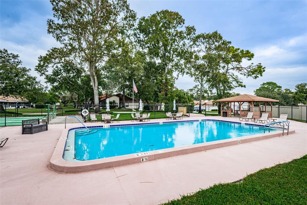 8202 Leafy Court Port Richey, FL 34668 - Photo 46 of 52