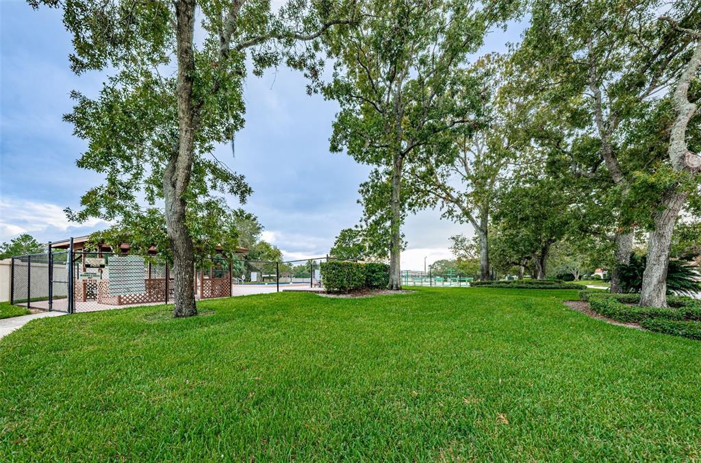 8202 Leafy Court Port Richey, FL 34668 - Photo 52 of 52