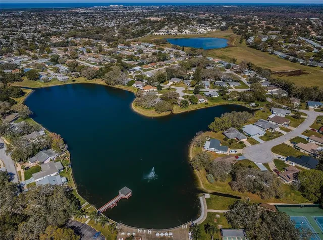 $225,000 | 8202 Leafy Court, Port Richey, FL 34668