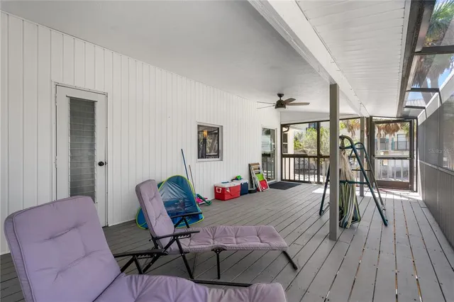 a view of a yard with plants and a large tree
