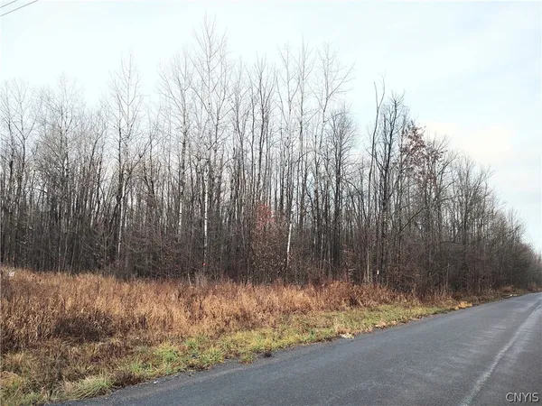$45,000 | Stephens Road, Lenox, NY 13032