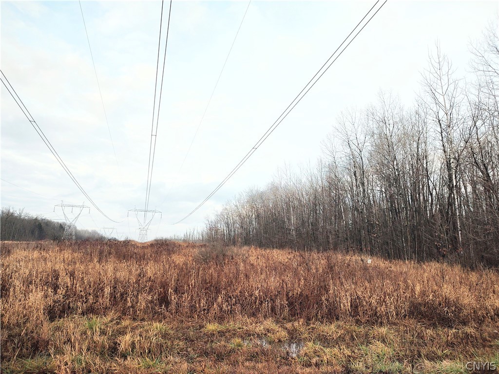 Stephens Road Lenox, NY 13032 - Photo 2 of 14