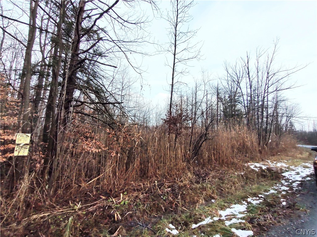 Stephens Road Lenox, NY 13032 - Photo 6 of 14